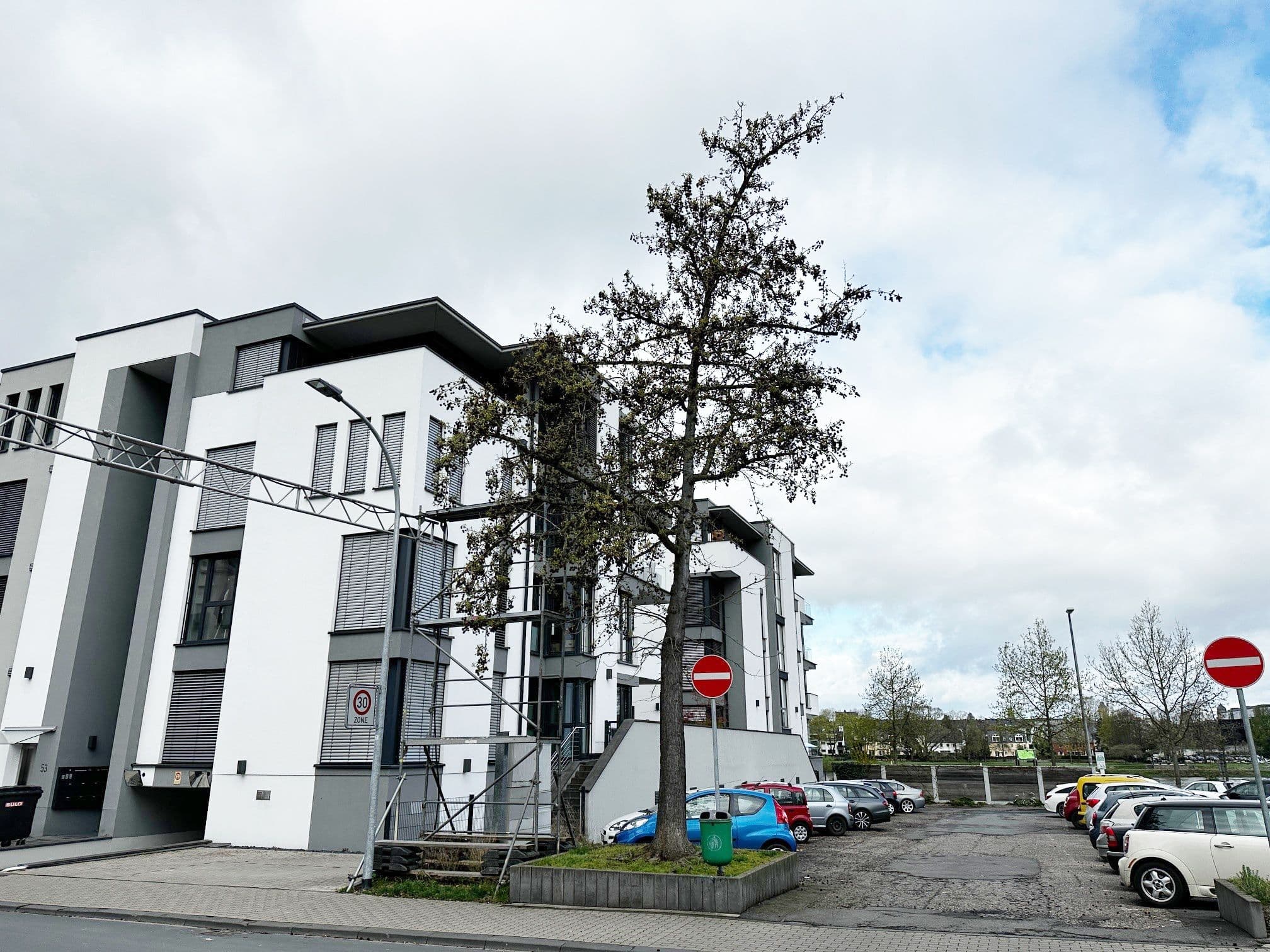 Fällung eines Amberbaums am Jahnplatz in Pfaffendorf