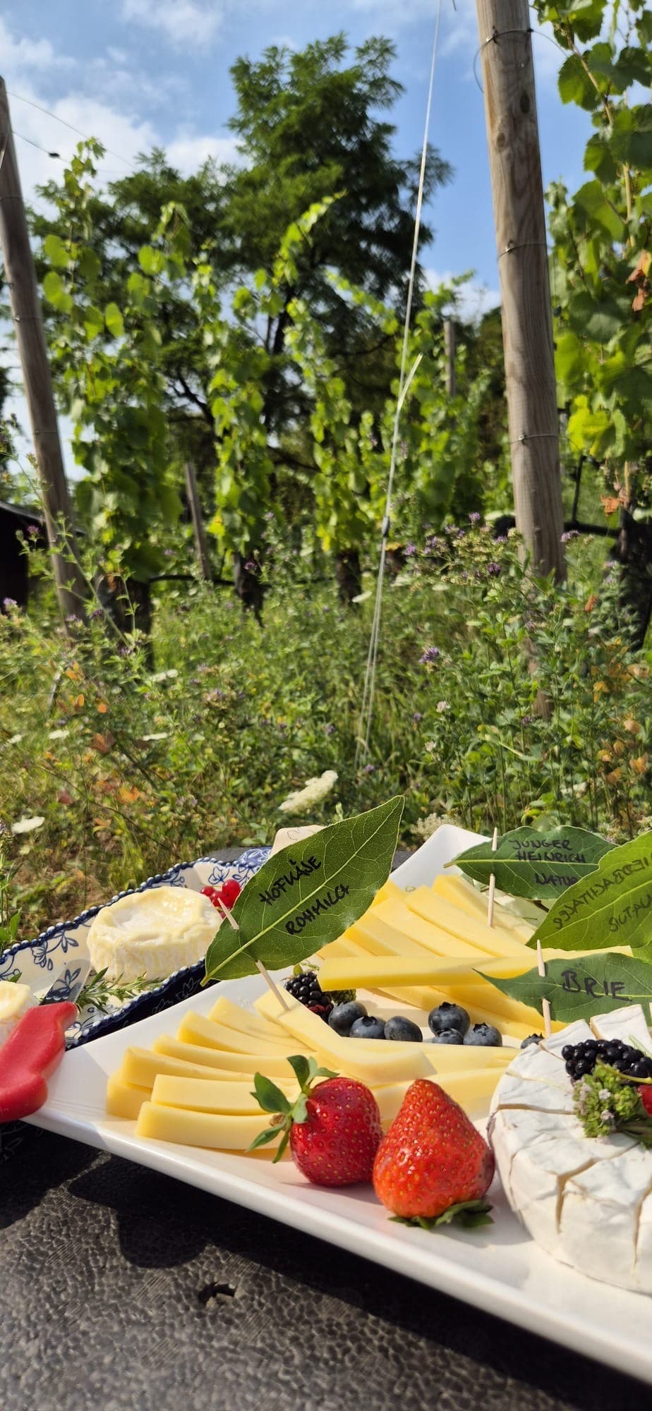 Ausverkaufte Naturgenuss-Wanderung rund um Linz am Rhein