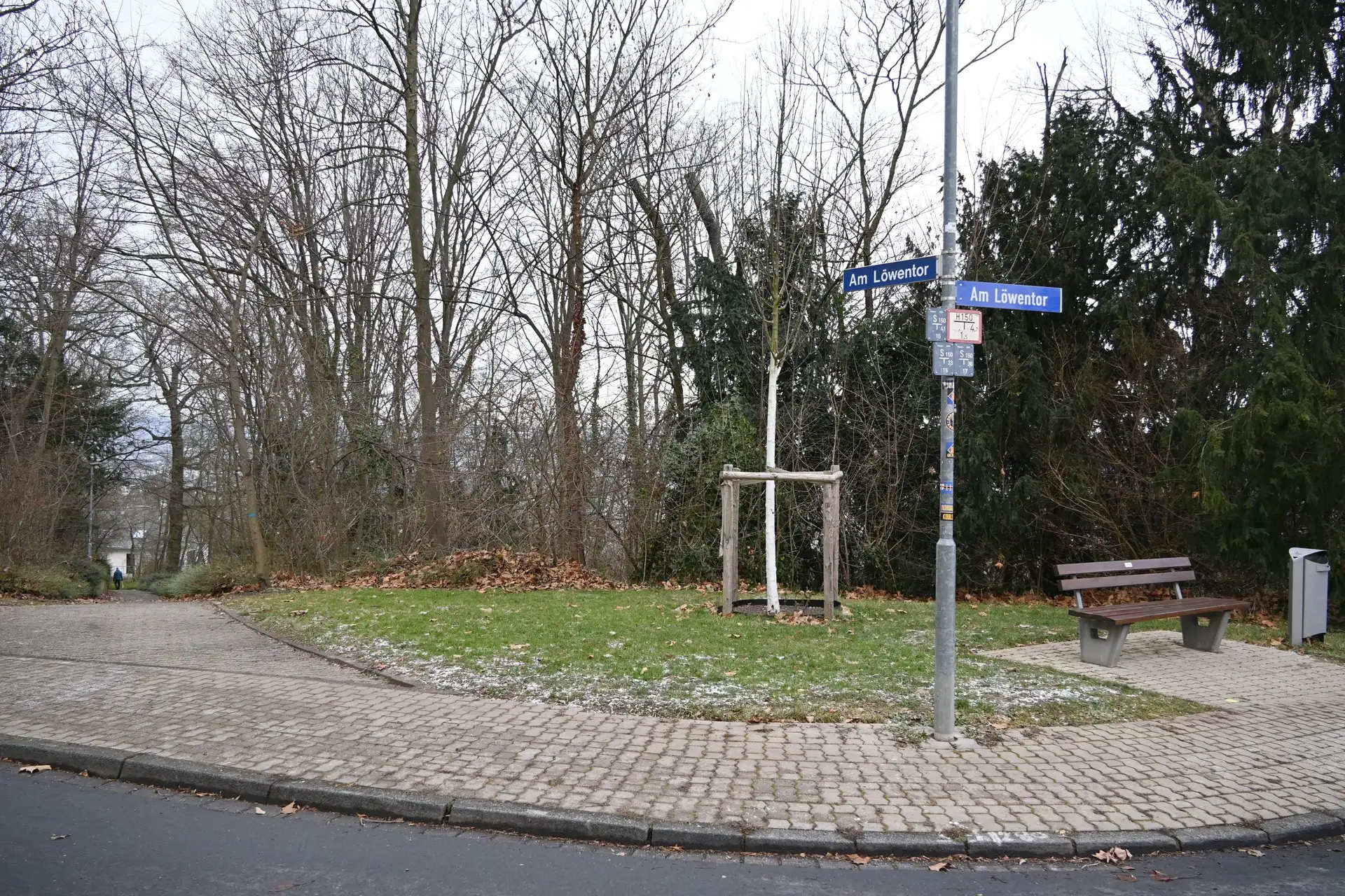 Gehölzpflege am Löwentor startet bald