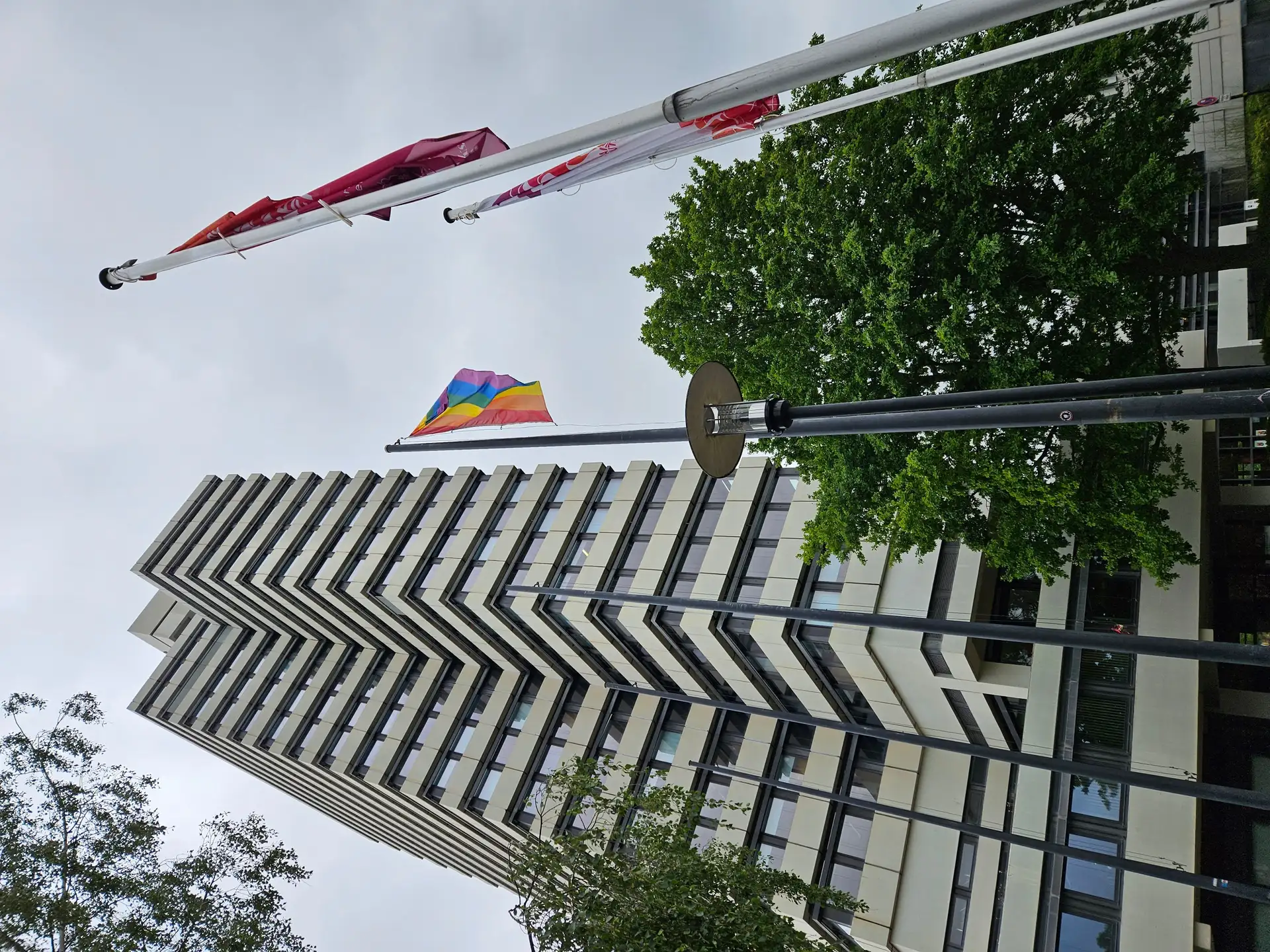 Kurzmitteilung: Kaiserslautern zeigt Flagge zum IDAHOBITA*