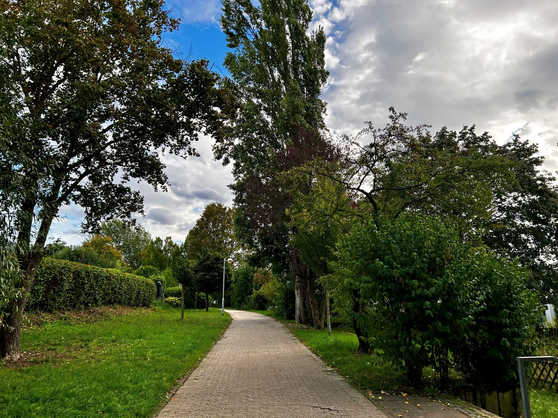Straße mit Bäumen und einer abgesicherten Baustellen-/Arbeitsstelle für Baumpflegearbeiten, mit Einsatzfahrzeug im Hintergrund.