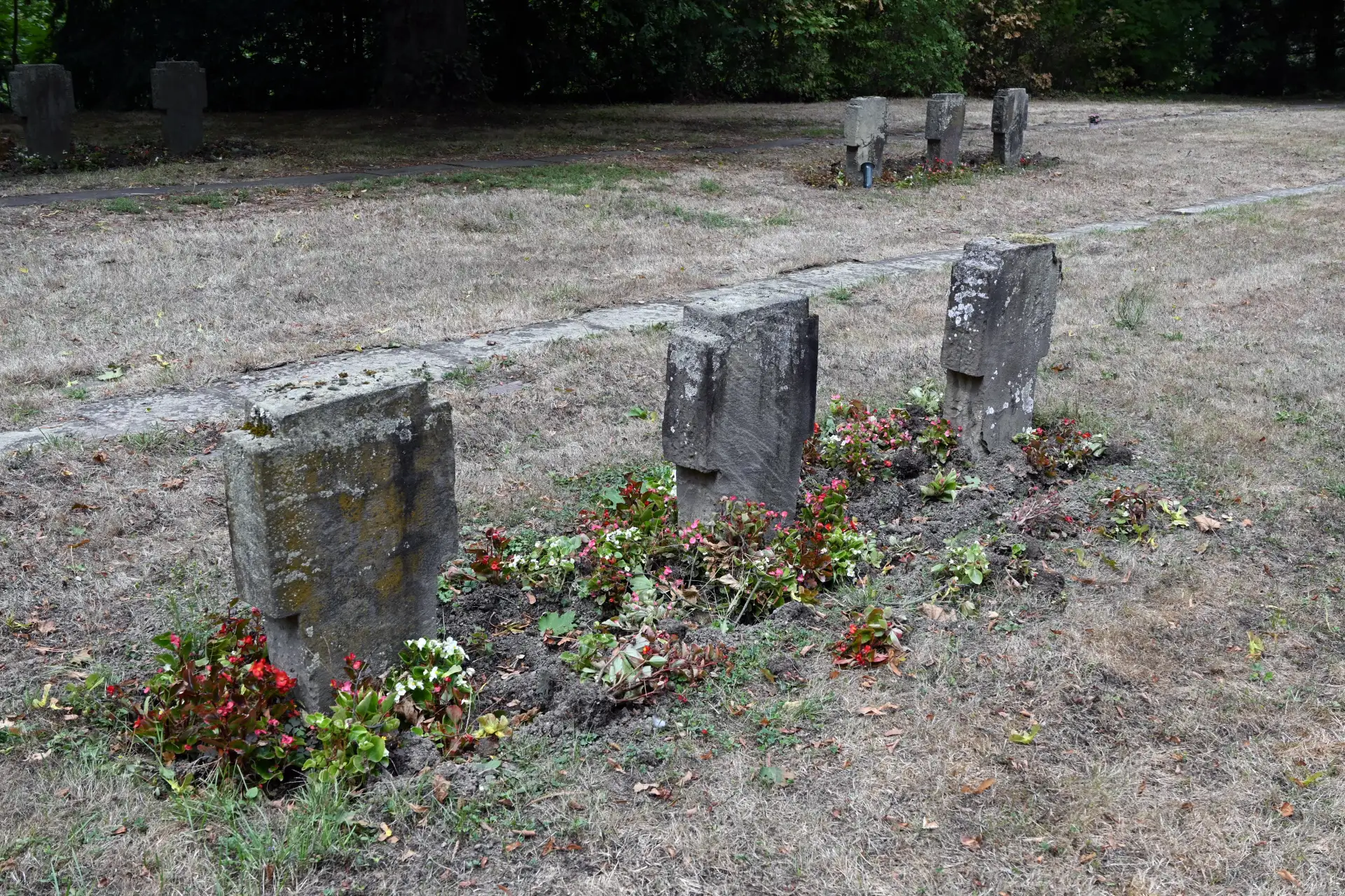 Die Friedhofsverwaltung ist bemüht, das Problem zu lösen.