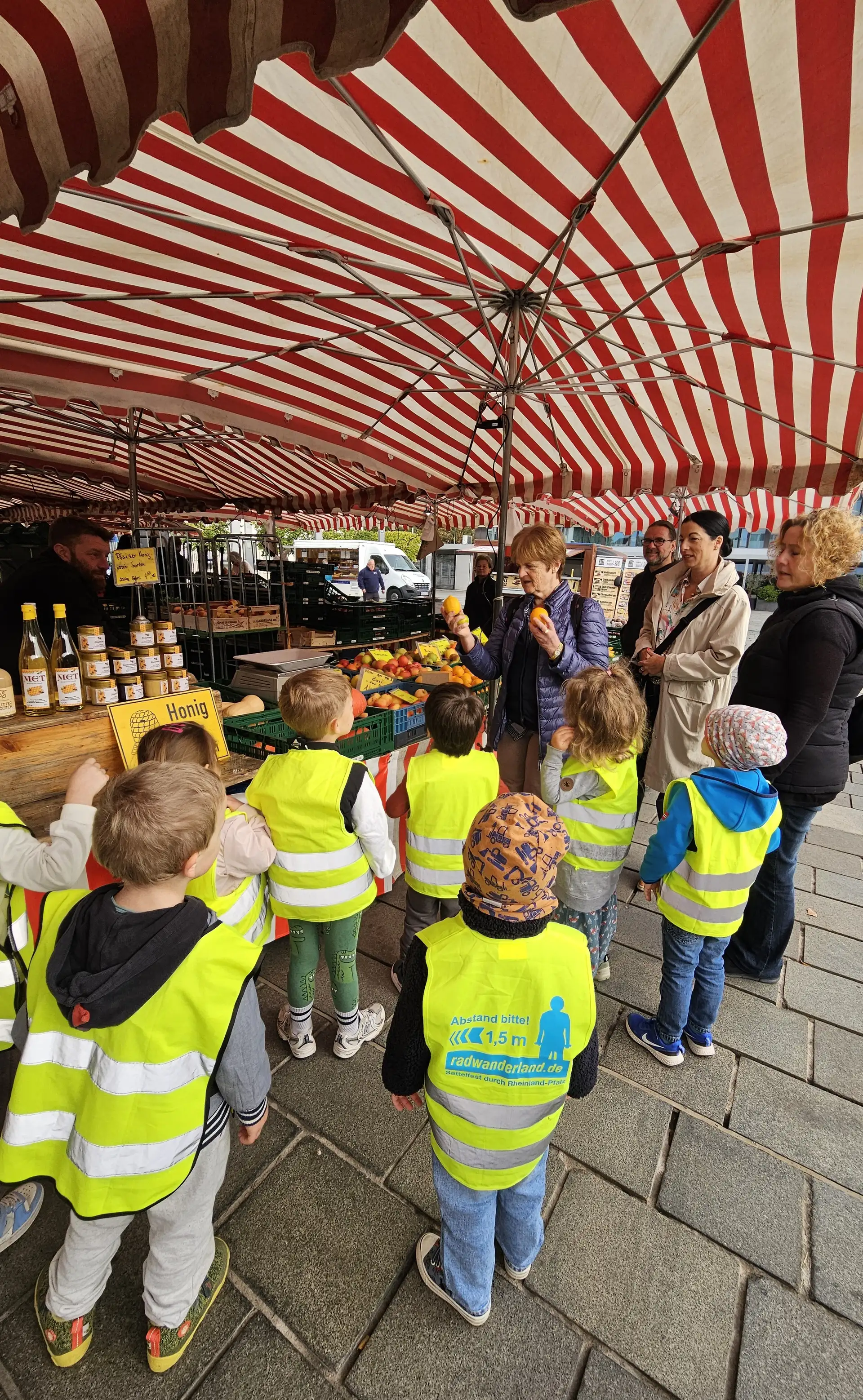 Orange oder Zitrone? Karin Postweiler erläuterte den Kita-Kindern unter anderem die unterschiedlichen Obstsorten.