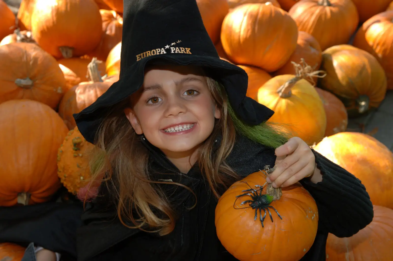 Schaurig-schöne Gruselwochen: In der ersten Woche der Herbstferien veranstaltet das Jugendamt eine Tagesfahrt in den Europa-Park. (