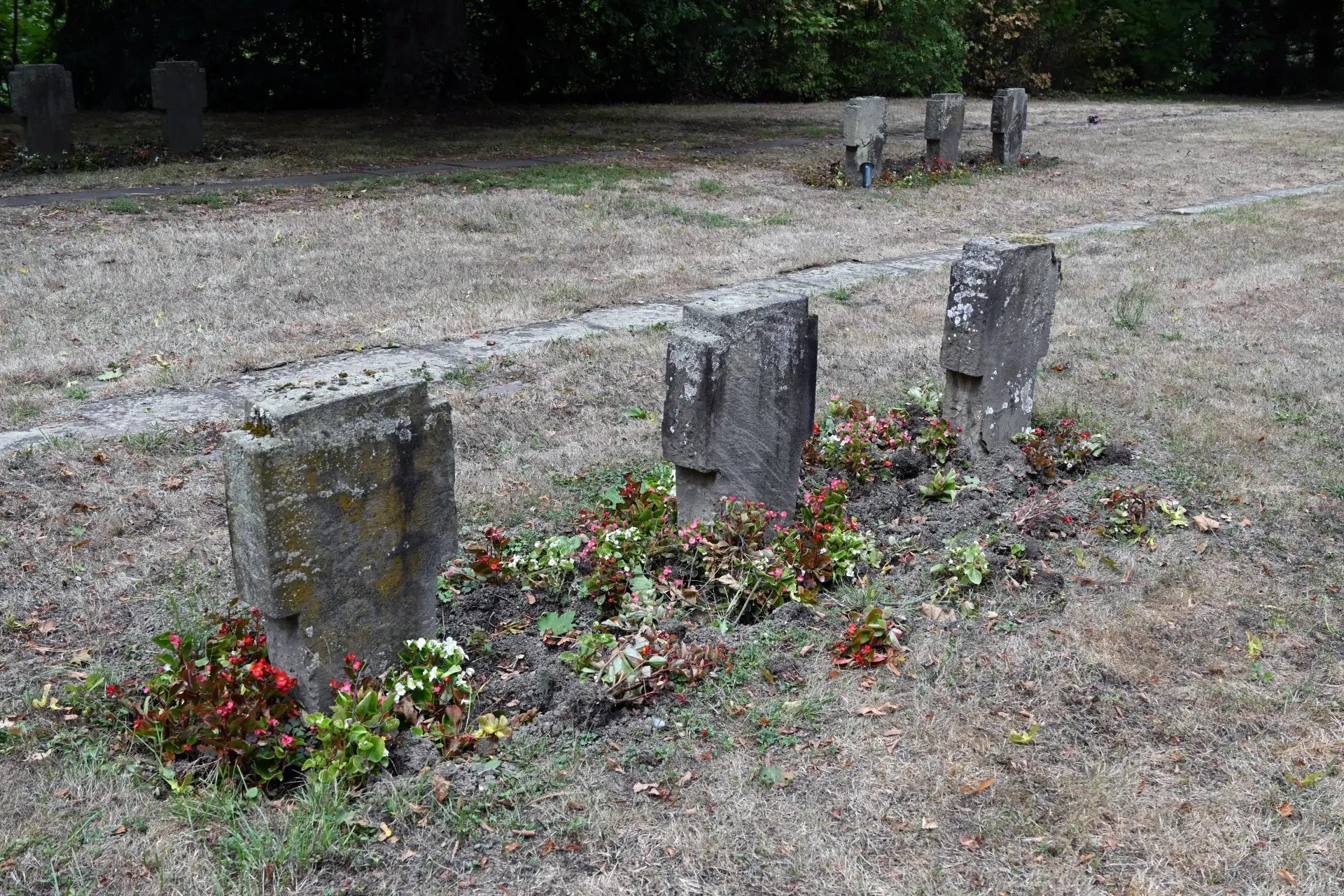 Die Friedhofsverwaltung ist bemüht, das Problem zu lösen.