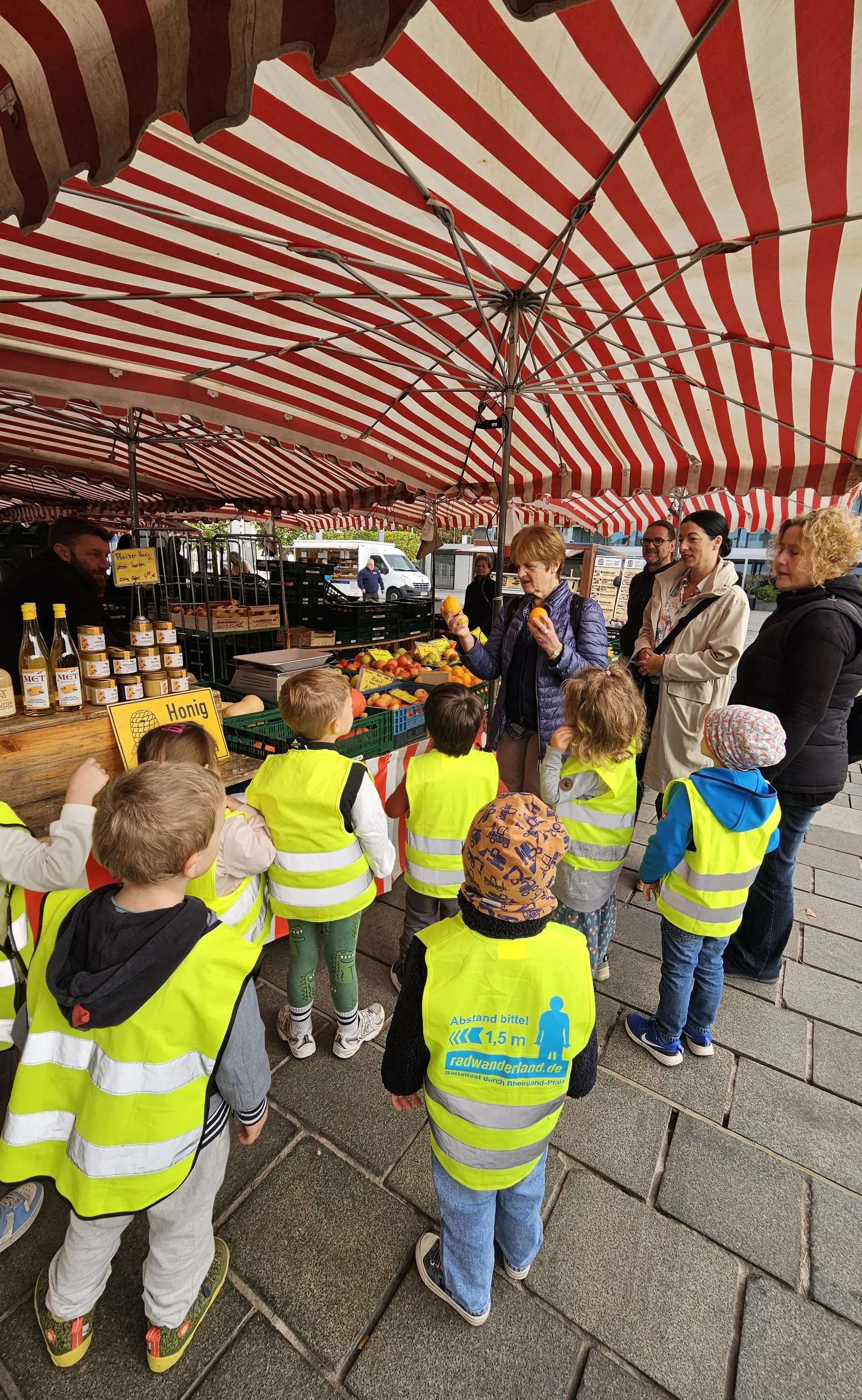 Orange oder Zitrone? Karin Postweiler erläuterte den Kita-Kindern unter anderem die unterschiedlichen Obstsorten.