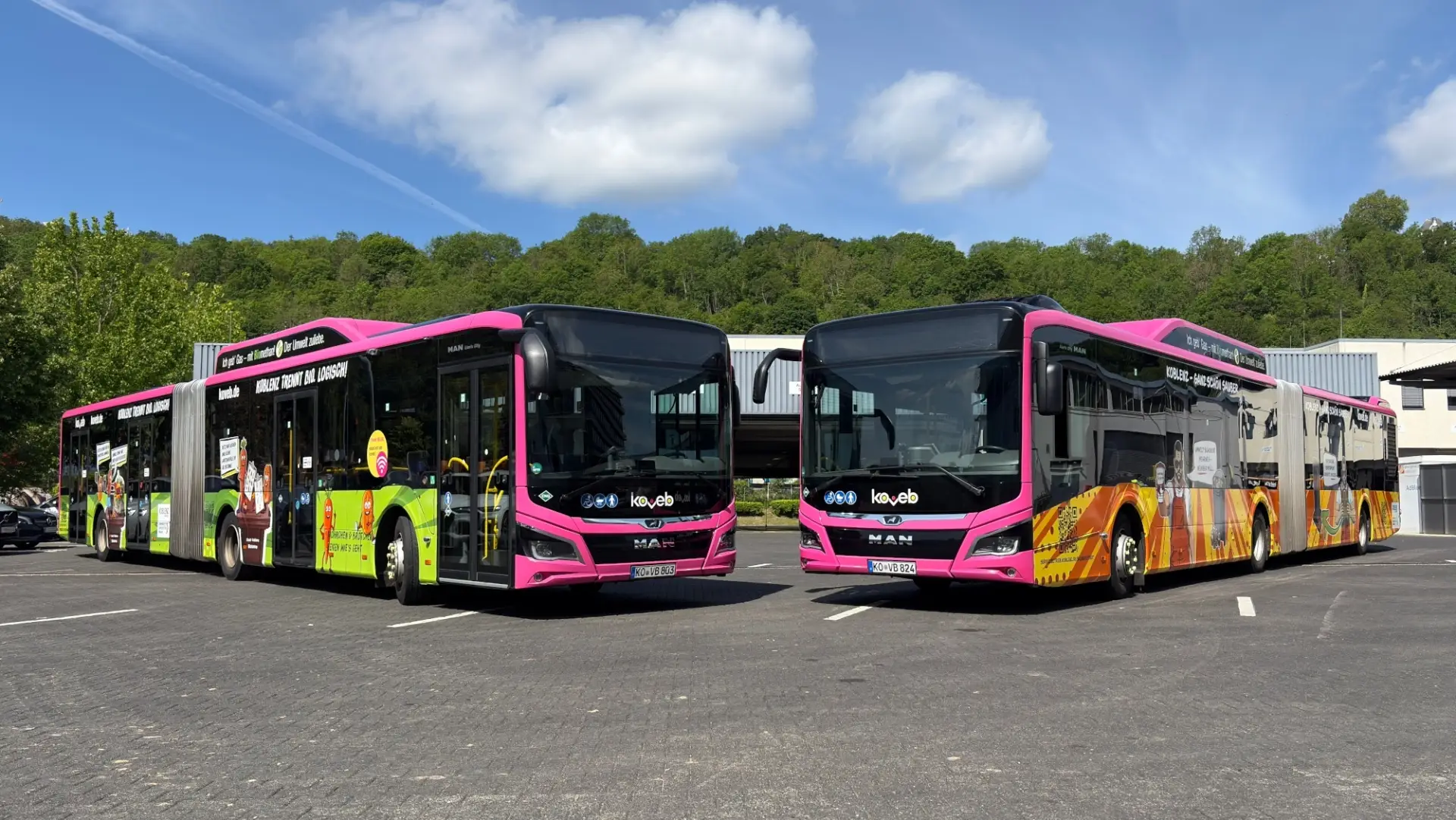 Bildunterzeile: Auffällig bunt sind die beiden mit Kampagnenmotiven folierten koveb-Gelenkbusse gestaltet.