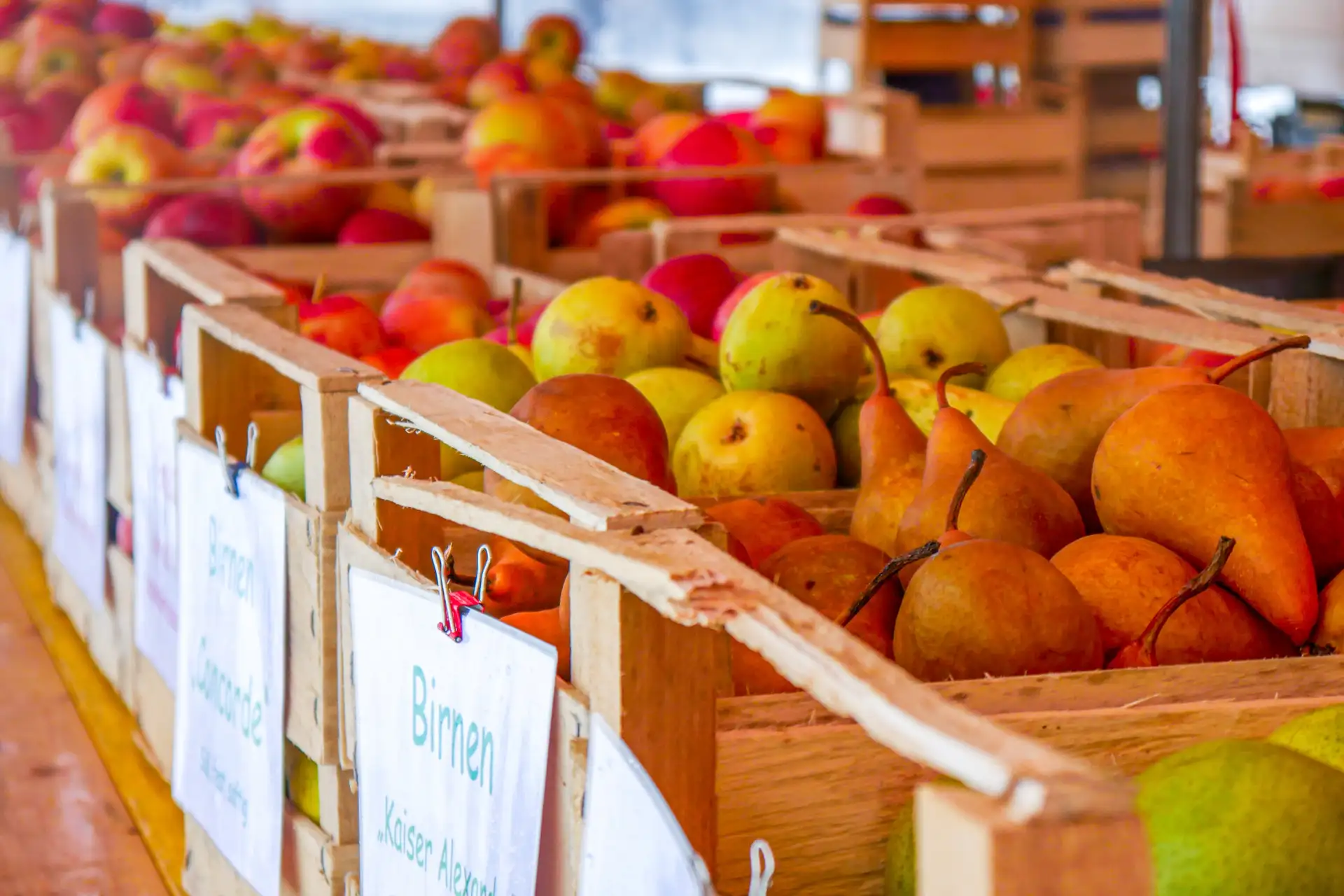 Holzkisten voller Äpfel und Birnen an einem Marktstand; an der vorderen Kiste hängt ein handbeschriftetes Schild.