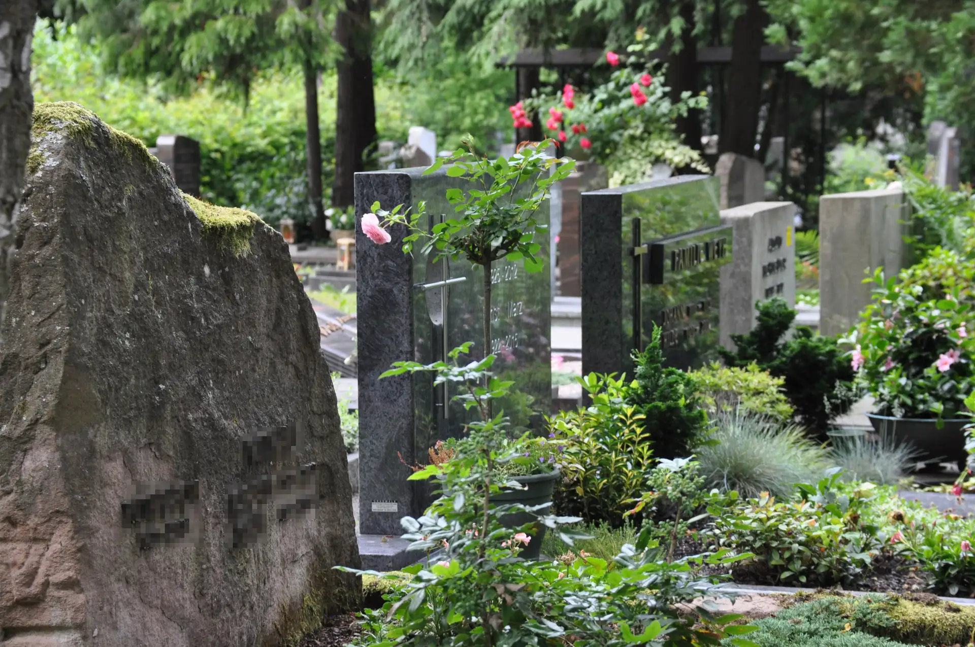 Auf dem Landauer Hauptfriedhof musste das Wasser abgestellt werden. (Quelle: Stadt Landau) Pressemitteilung der Stadt Landau in der Pfalz. Bitte stets als